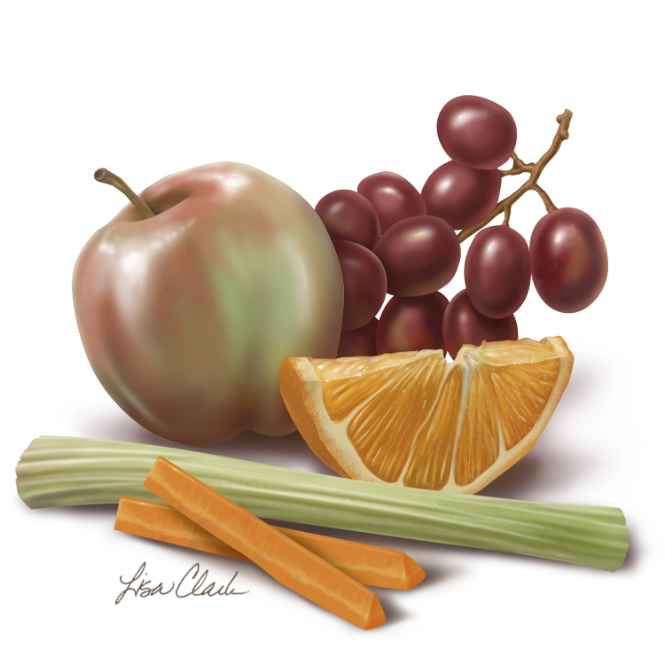 Fruit and vegetable illustration