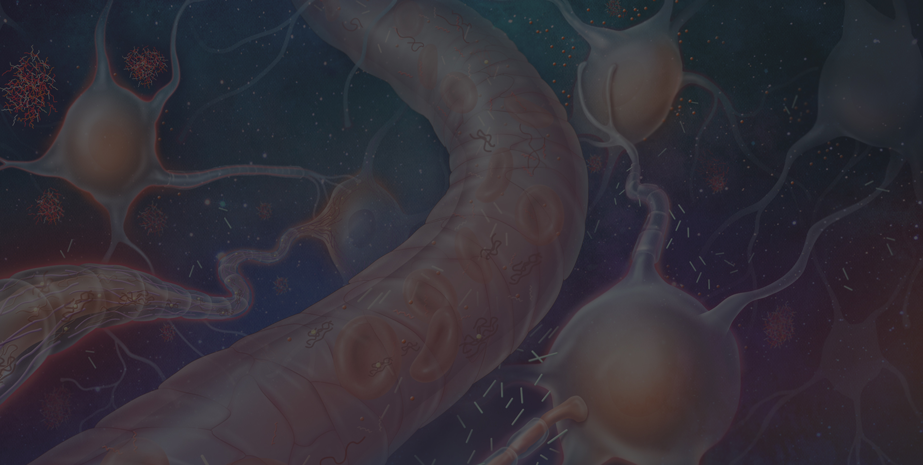 Alzheimer's Blood Markers